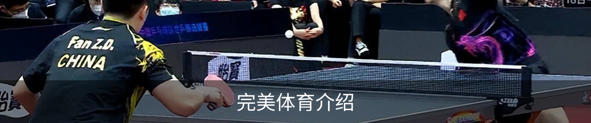 完美体育介绍